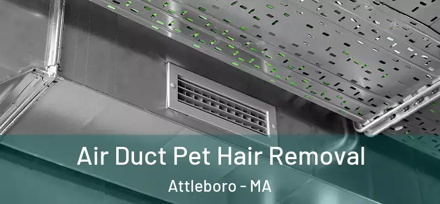 Air Duct Pet Hair Removal Attleboro - MA