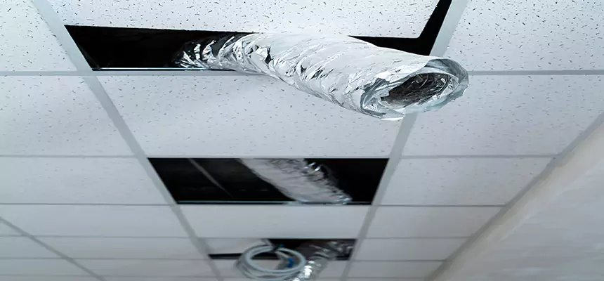 Our Air Duct Pet Hair Removal Services in Attleboro, MA