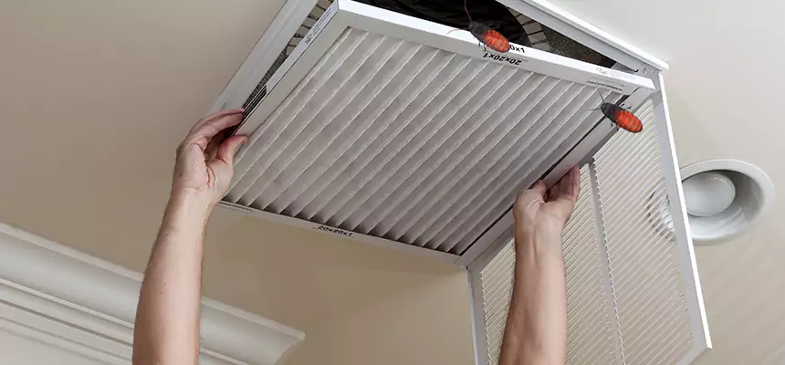 Our Insect Removal from Air Ducts Services in Attleboro, MA
