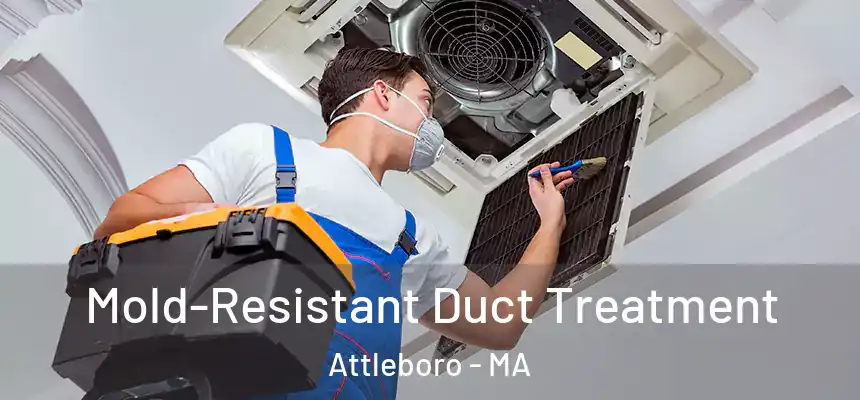  Mold-Resistant Duct Treatment Attleboro - MA