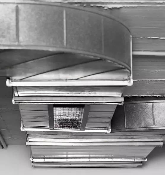 Professional Air Duct Pest Removal in Attleboro, MA