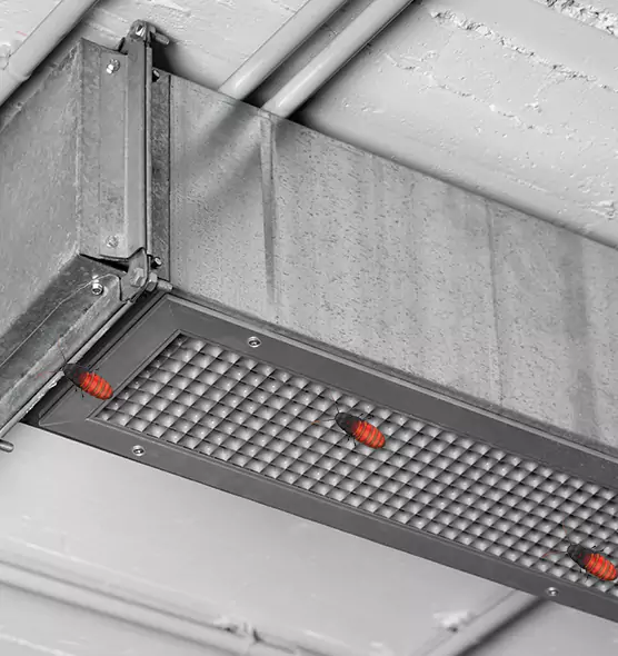 Affordable Insect Removal from Air Ducts in Attleboro, MA